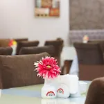 Hotel Budo
