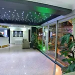 Budo Estambul